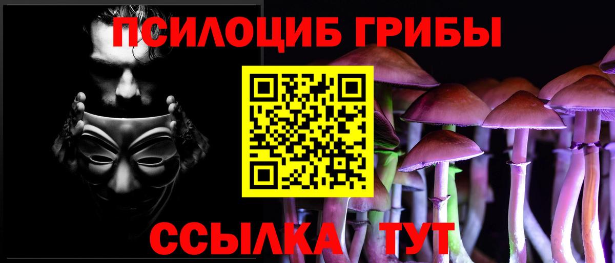 Осинники  как найти закладки  Вход с VPN  Псилоцибиновые грибы мицелий  Галлюциногенные грибы ЛСД 